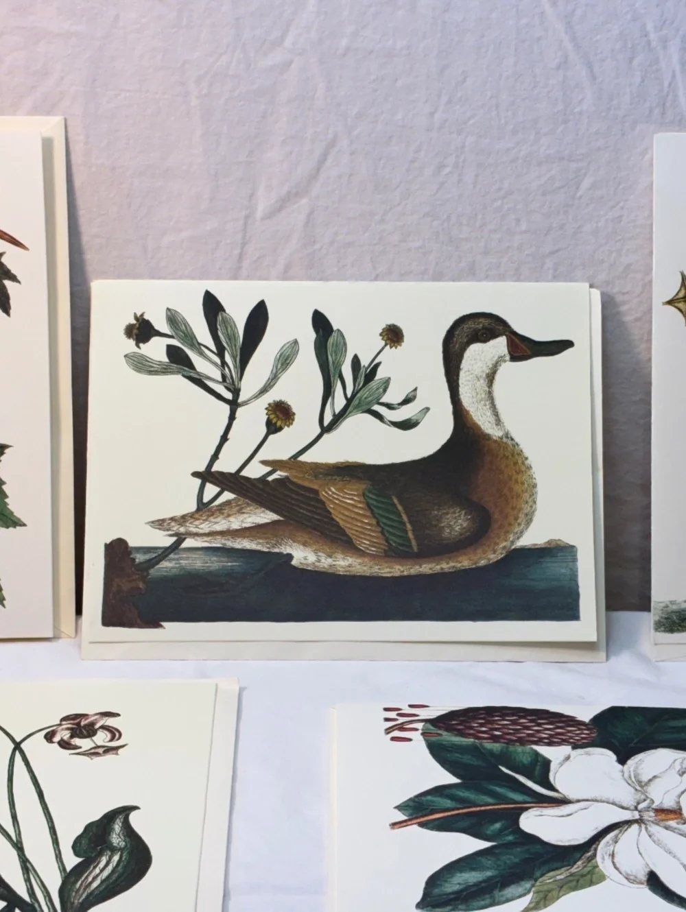 Set of 5 Vintage Colonial Williamsburg Foundation Art Print greeting cards